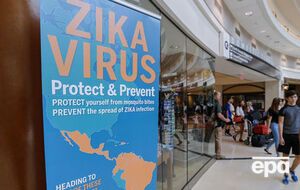 В Майами считают, что проблема вируса Зика "раздута"