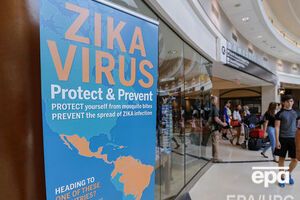 В Майами считают, что проблема вируса Зика "раздута"