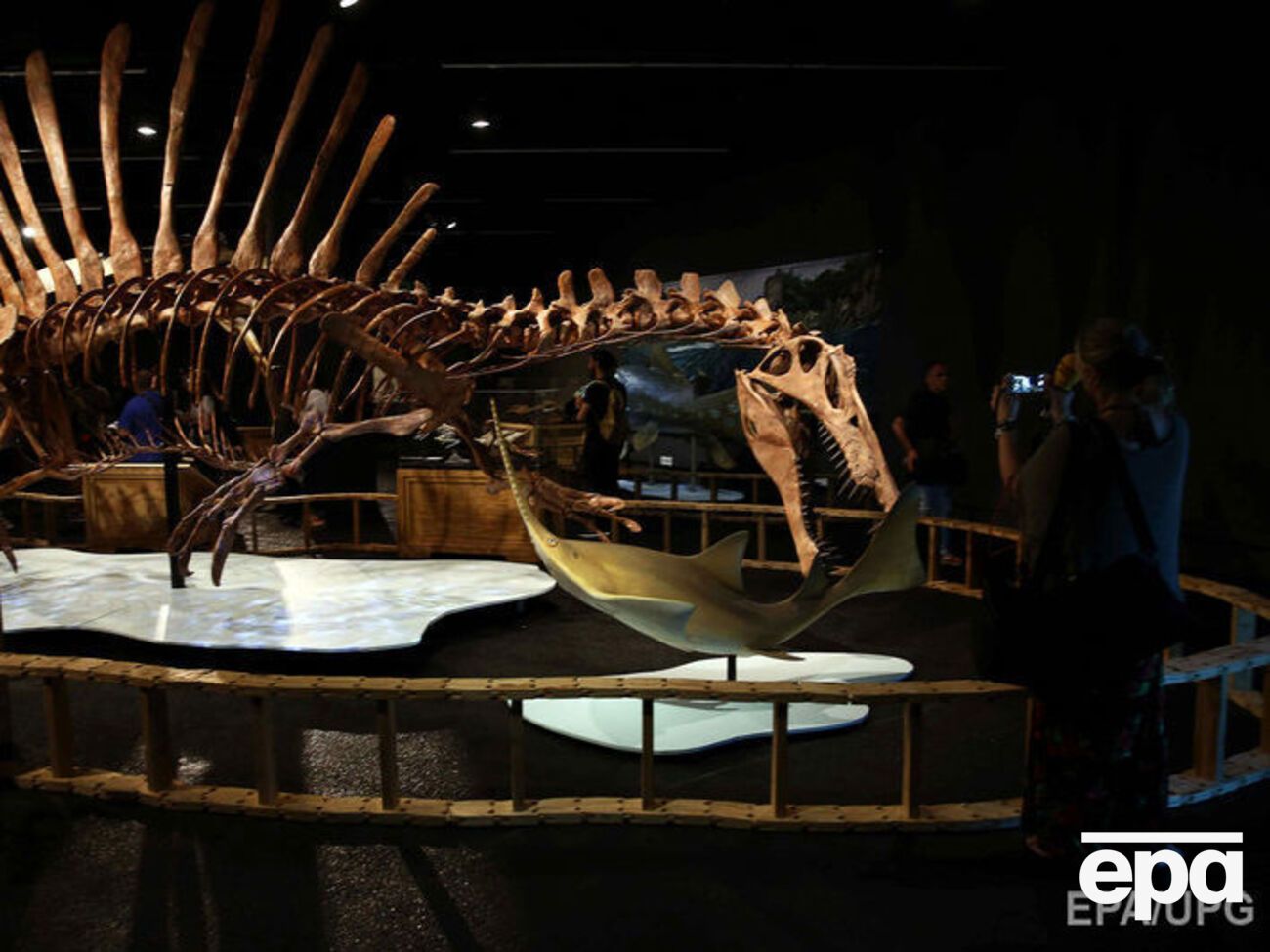 Ученые обнаружили первый в истории образец мозга динозавра