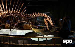 Ученые обнаружили первый в истории образец мозга динозавра