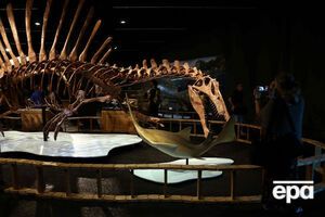 Ученые обнаружили первый в истории образец мозга динозавра