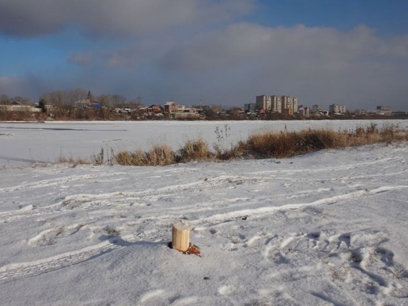 Художник Гультяев не стал бороться за свой проект