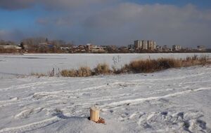 Художник Гультяев не стал бороться за свой проект