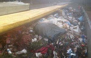 Машины привлекли внимание полиции неприятным запахом