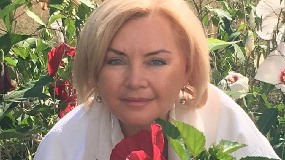 Билозир владеет четырьмя земельными участками и двумя автомобилями