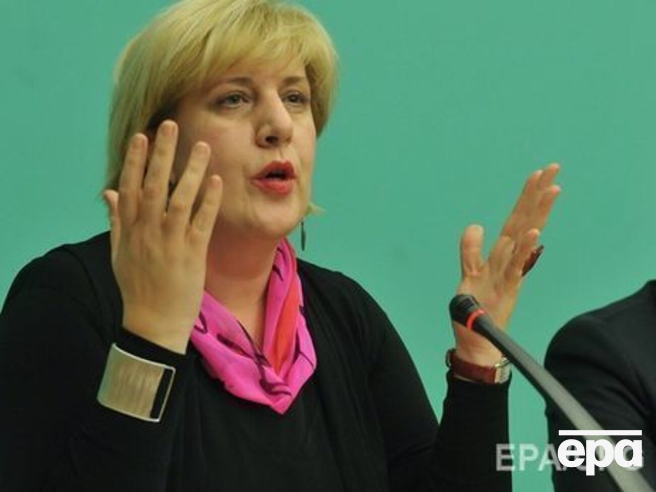 Миятович:&nbsp;Я работаю над делом Сущенко