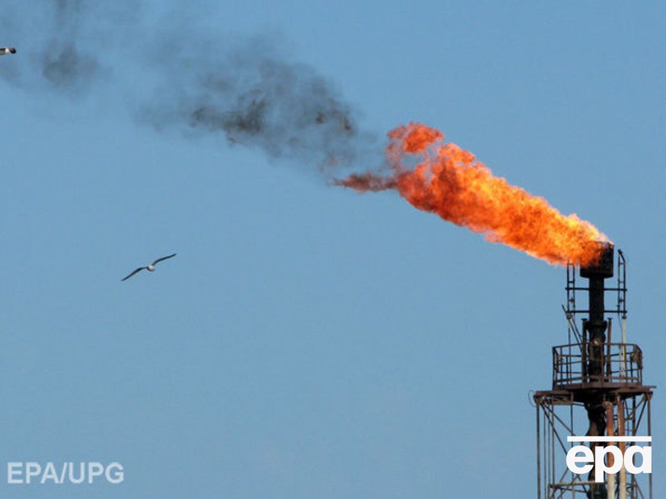 Нефть начала дешеветь после скачка