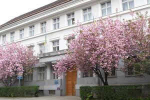 Судья областного апелляционного суда пустил себе пулю в висок