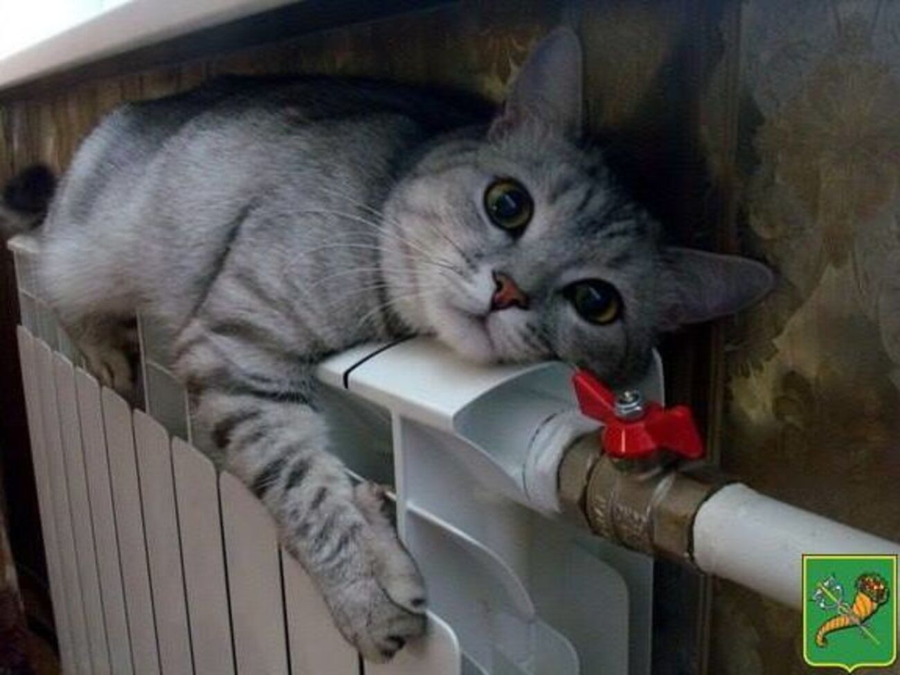 "Киевэнерго" планирует подключать жилой сектор к отоплению с 17 октября