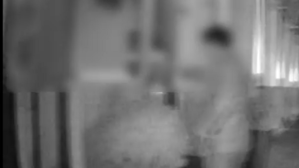 Судья заявил, что вышел из заведения через центральный вход