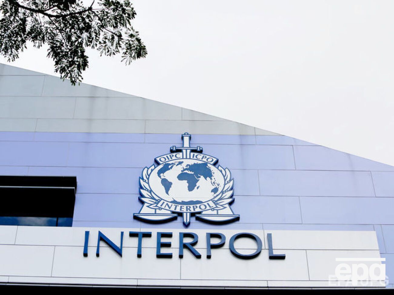 Интерпол избрал нового руководителя