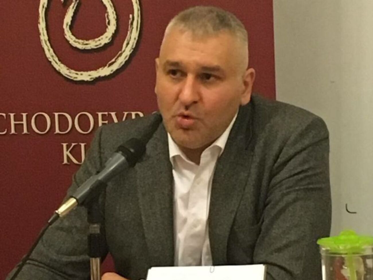 Фейгин рассказал об обращении евродепутатов к Могерини по делу Сущенко