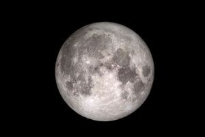В ночь на 14 ноября над Землей взойдет Суперлуна