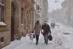 Львов засыпало снегом
