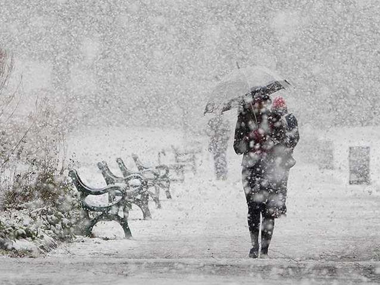 Из-за снегопадов дети в Прикарпатье останутся дома