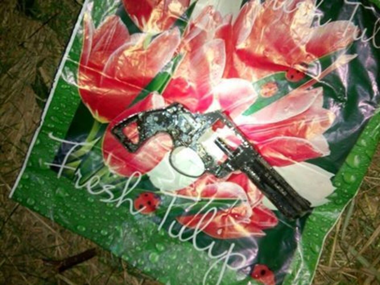 Найдена часть пистолета &ndash;&nbsp;ручка со стволом