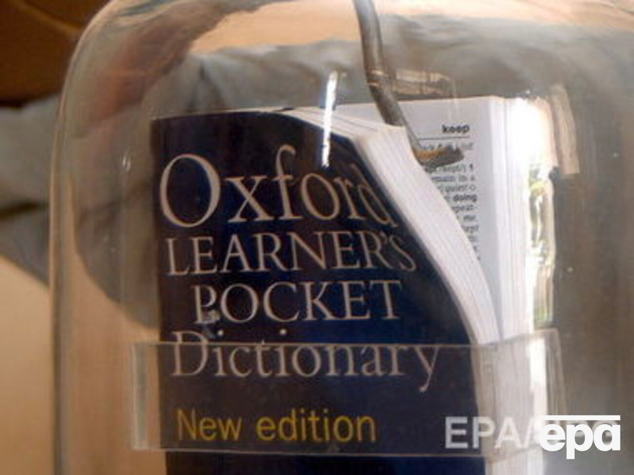 Оксфордский словарь назвал слово года