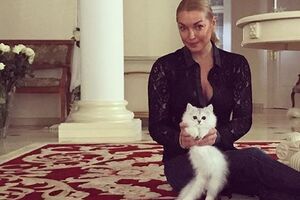 Волочкова: Не знаю, не обалдеет ли это создание от масштабов моего особняка, но он очень милый и не прячется, а старается быть ближе к людям