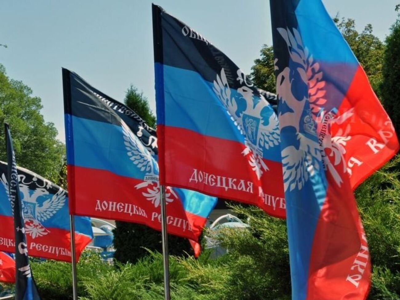 Нацгвардия: Боевика "ДНР" передали правоохранительным органам