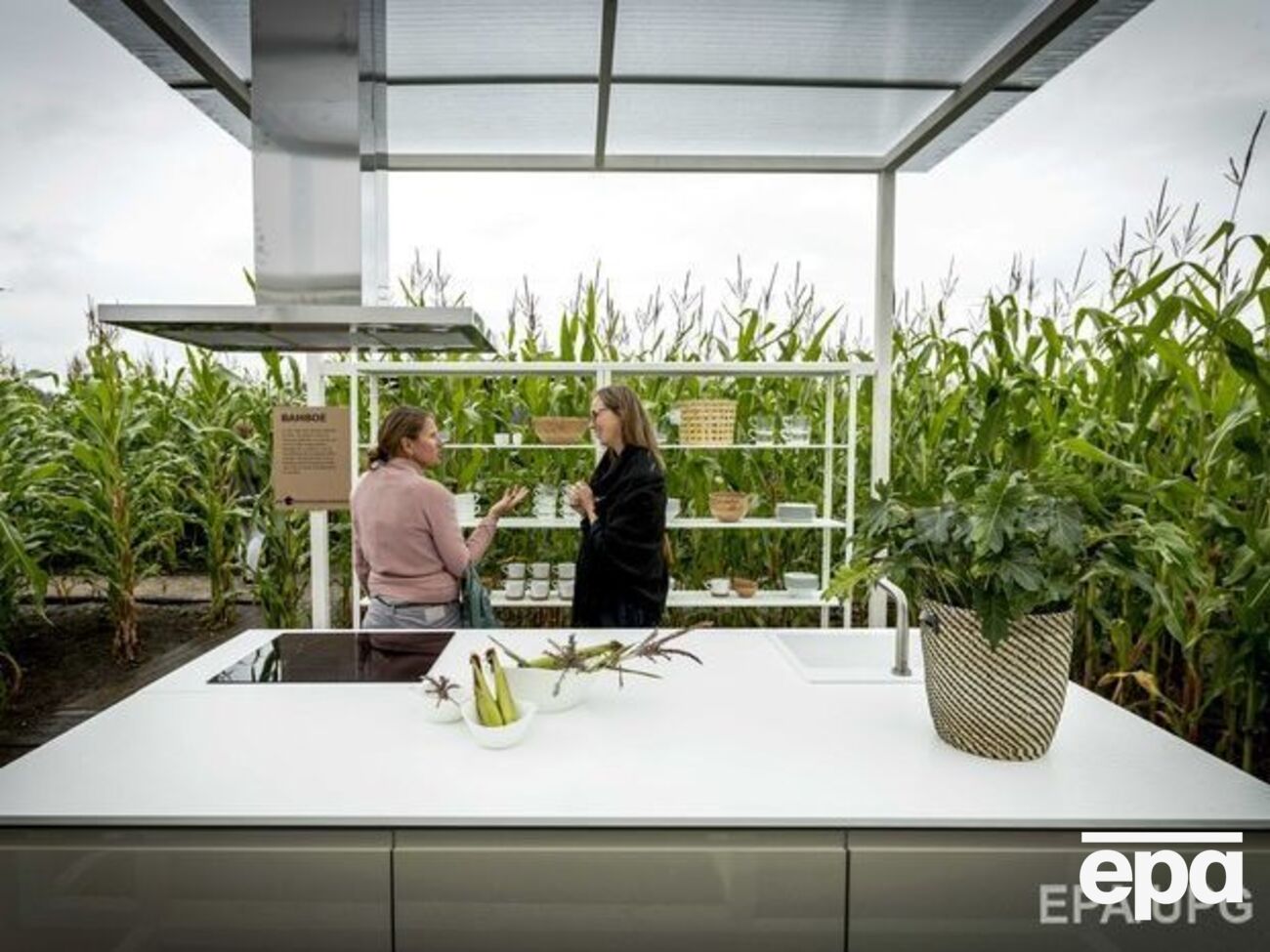 Ученые проведут опыты на сельхозкультурах