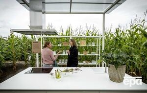 Ученые проведут опыты на сельхозкультурах