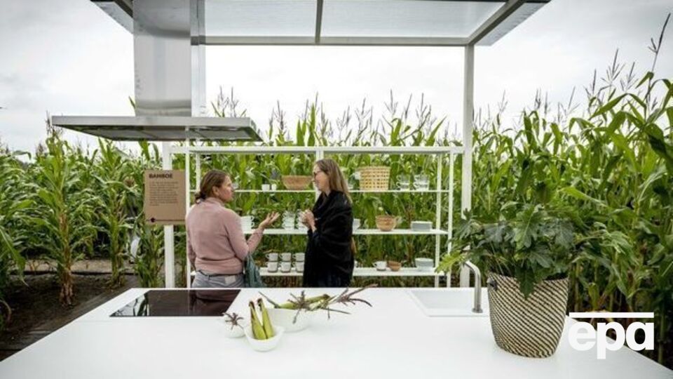 Ученые проведут опыты на сельхозкультурах