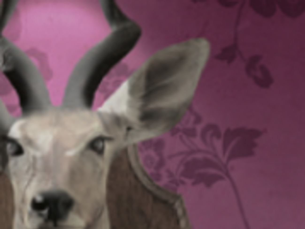 "Охота на журналистов"&nbsp;&ndash; символика "Репортеров без границ"