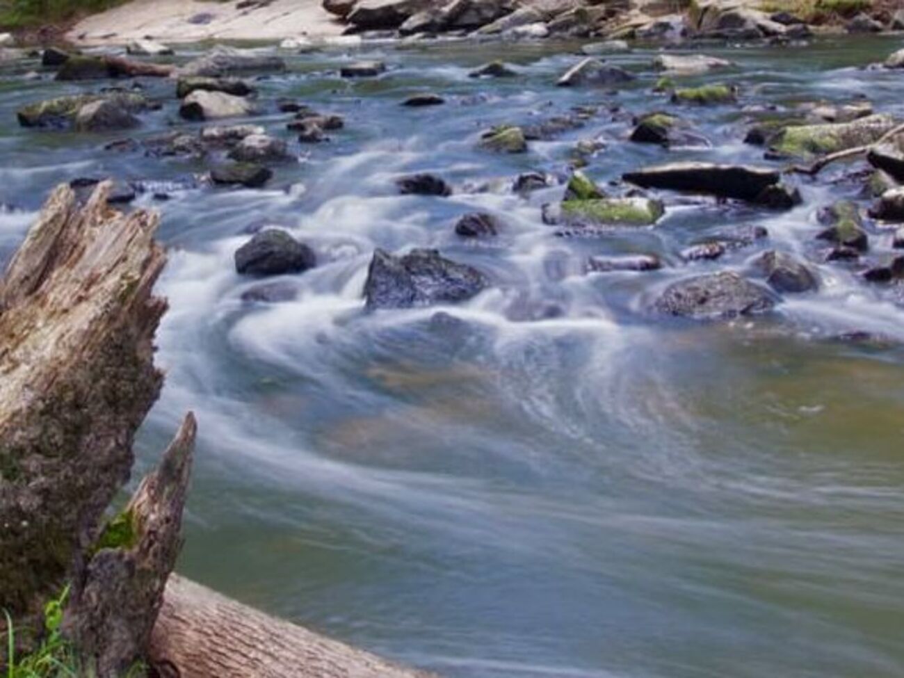 ГСЧС предупредила о повышении уровня воды в нескольких реках на западе Украины