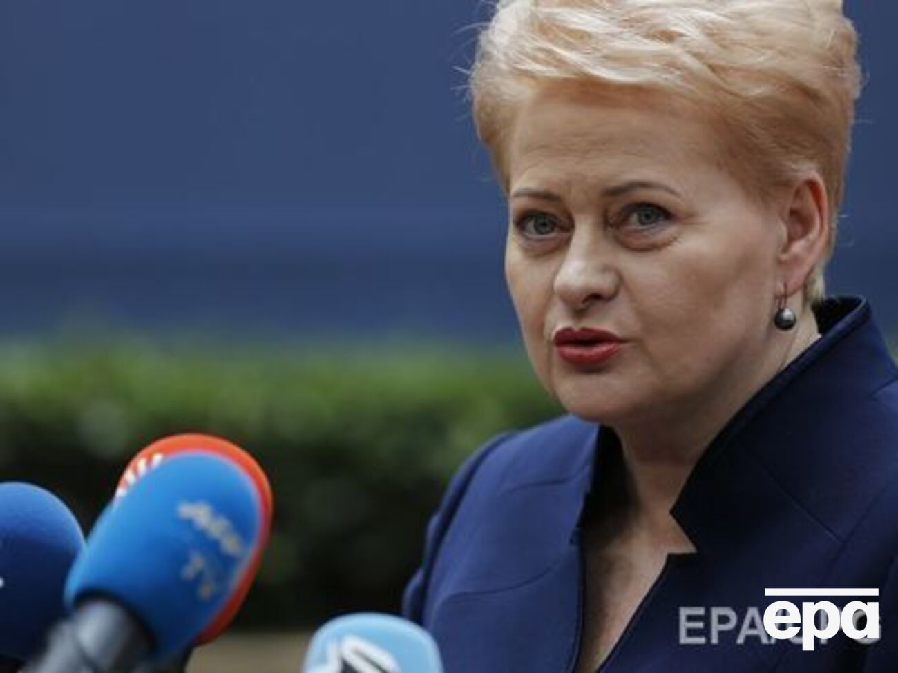 По словам Грибаускайте, что-то предсказывать или угадывать нет смысла
