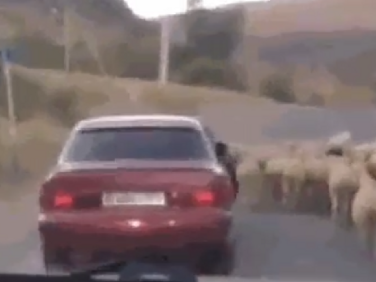 СБУ опубликовала "альтернативное видео" задержания дезертиров