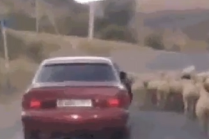 СБУ опубликовала "альтернативное видео" задержания дезертиров