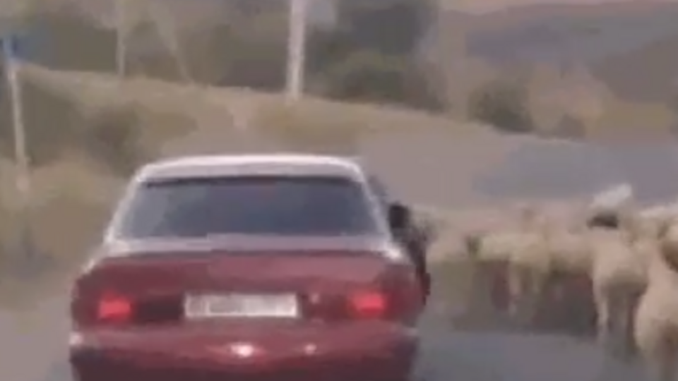 СБУ опубликовала "альтернативное видео" задержания дезертиров