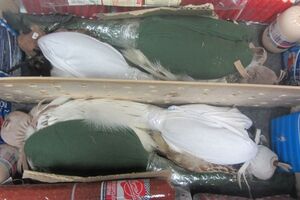 Живых птиц пытались спрятать среди продуктов