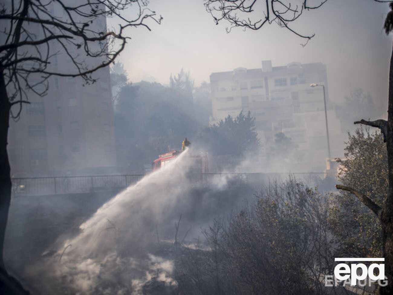Пожарные сражаются с огнем в жилых кварталах Хайфы