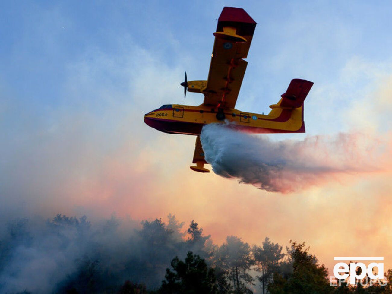 Хайфа и ее окрестности охвачены пожарами. Фоторепортаж