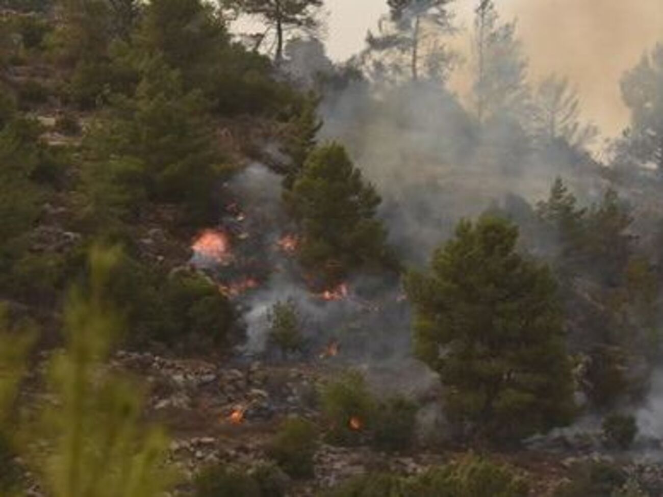 Погода способствует распространению верхового лесного пожара