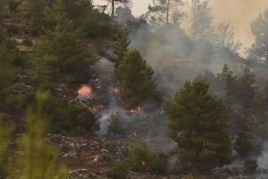 Погода способствует распространению верхового лесного пожара