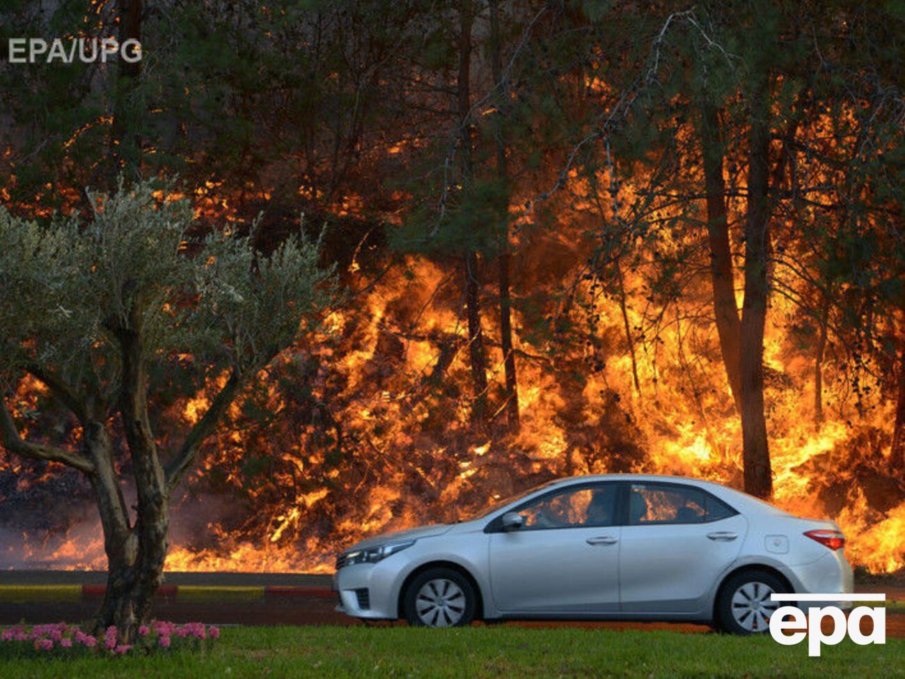 Пожары возле Хайфы бушуют с 23 ноября