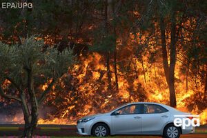 Пожары возле Хайфы бушуют с 23 ноября