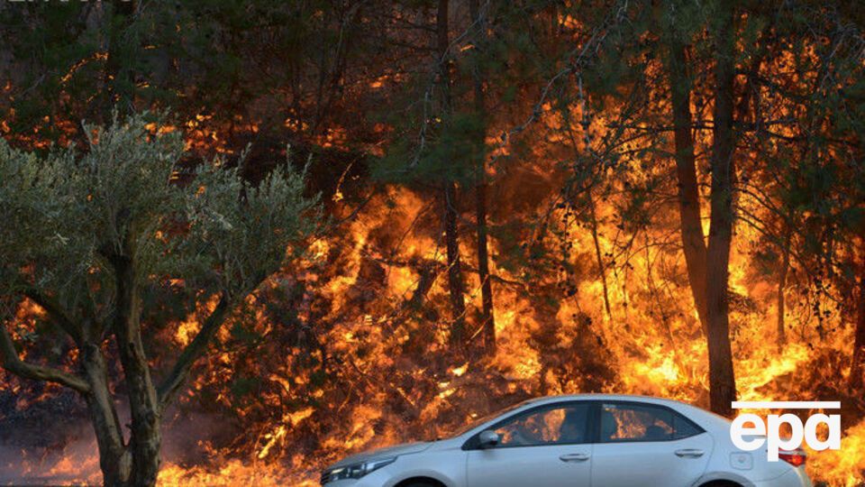 Пожары возле Хайфы бушуют с 23 ноября