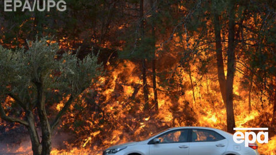 Палестинская группировка взяла на себя ответственность за пожары в Хайфе