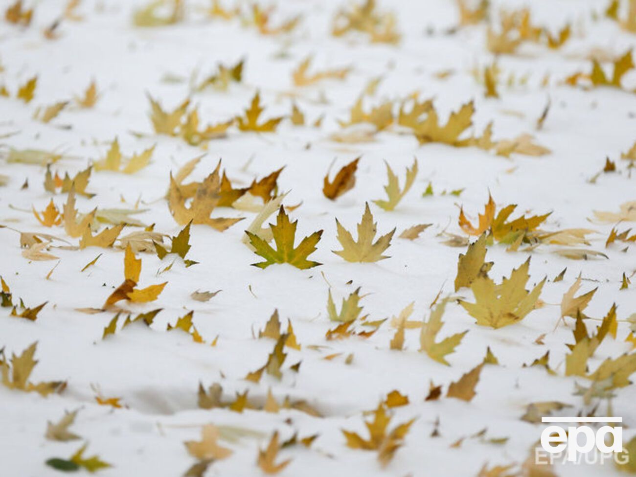 На следующей неделе в Украине похолодает