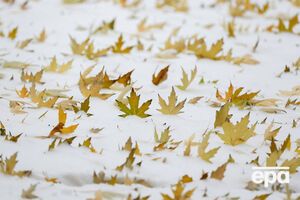 На следующей неделе в Украине похолодает