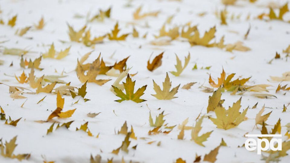 На следующей неделе в Украине похолодает