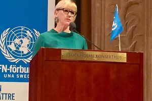 Вальстрем: Твердая поддержка европейского будущего Украины продолжается