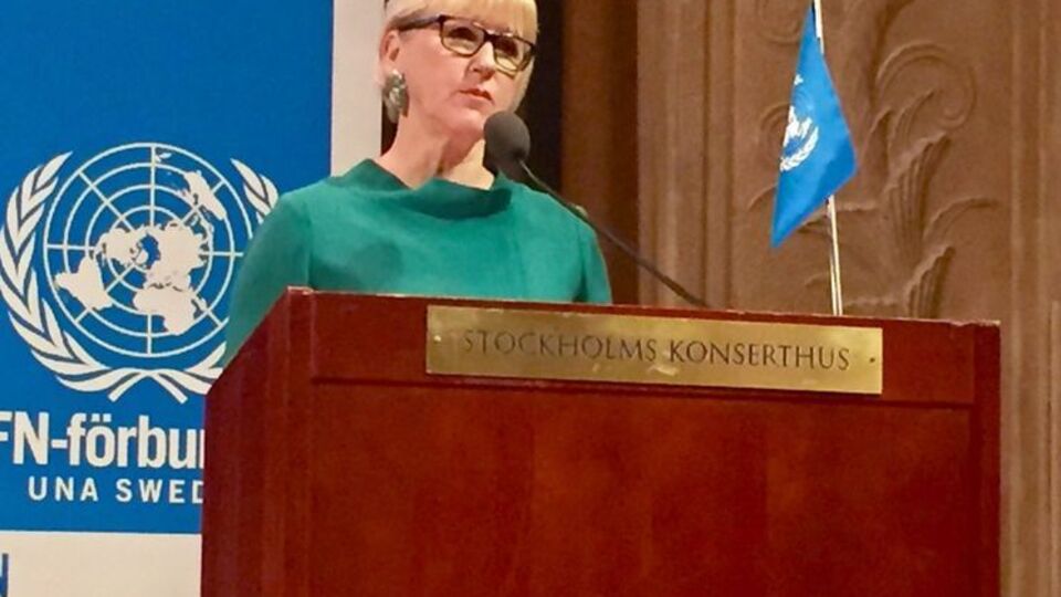 Вальстрем: Твердая поддержка европейского будущего Украины продолжается