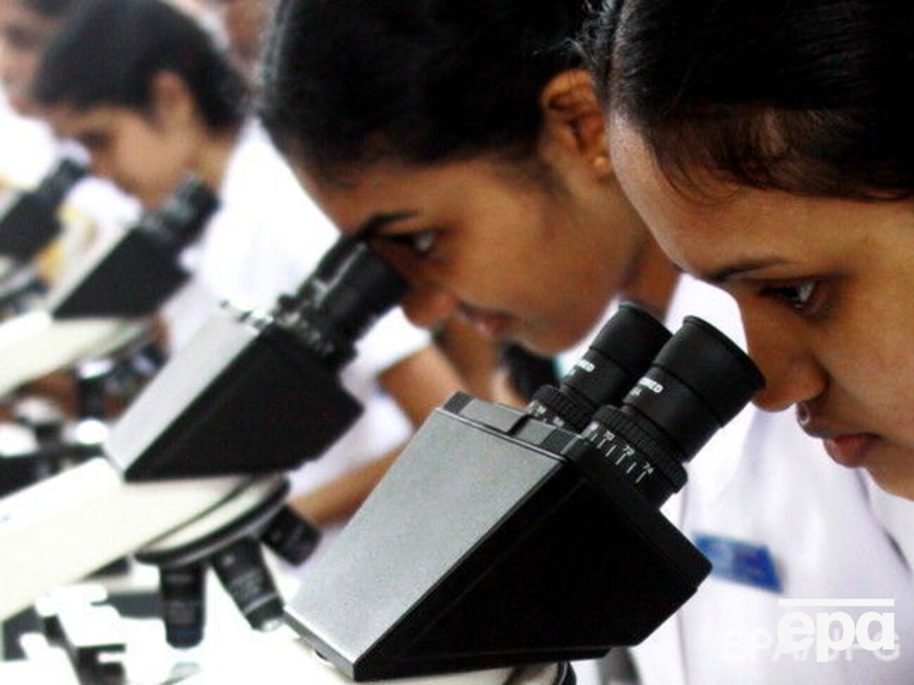 Ученые уверяют, что новые вирусы не опасны для человека