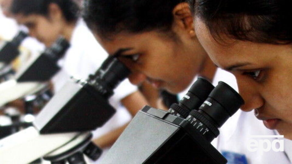 Ученые уверяют, что новые вирусы не опасны для человека