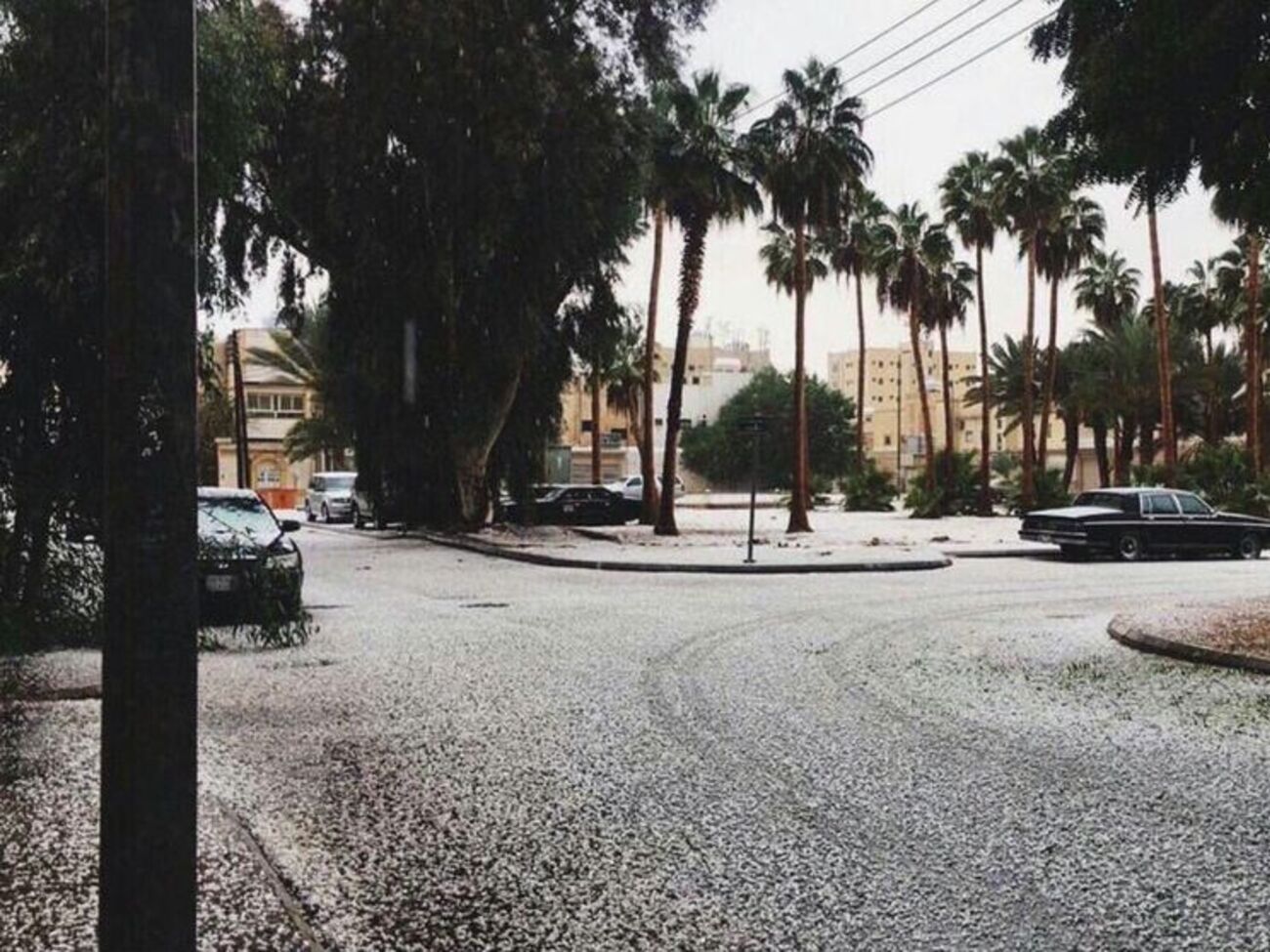 Снег выпал в сезон дождей