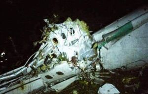 В авиакатастрофе есть выжившие